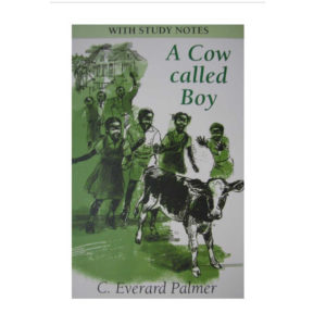 a cow called boy