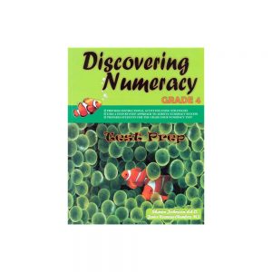Discovering Numeracy Performance Grade 4