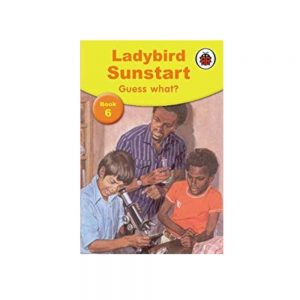 Ladybird Sunstart Books