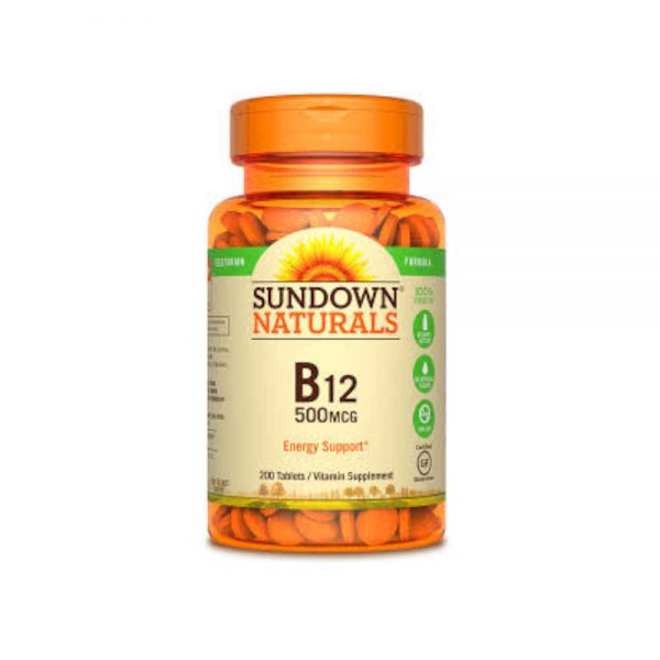 Sundown Naturals B12 500 MCG