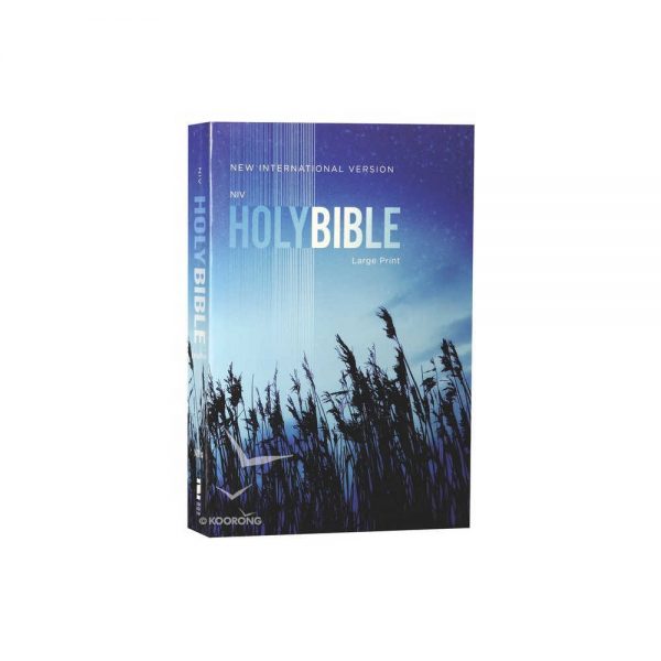 New International Version NIV Holy Bible Zondervan softcover