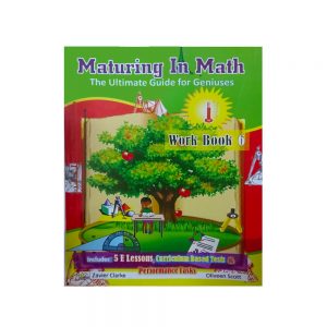 Maturing in Math The Ultimate guide for Geniuses workbook 6
